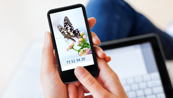 Photo of person holding a phone