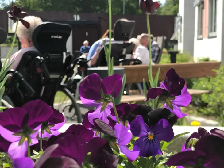 Blomster i sansehagen