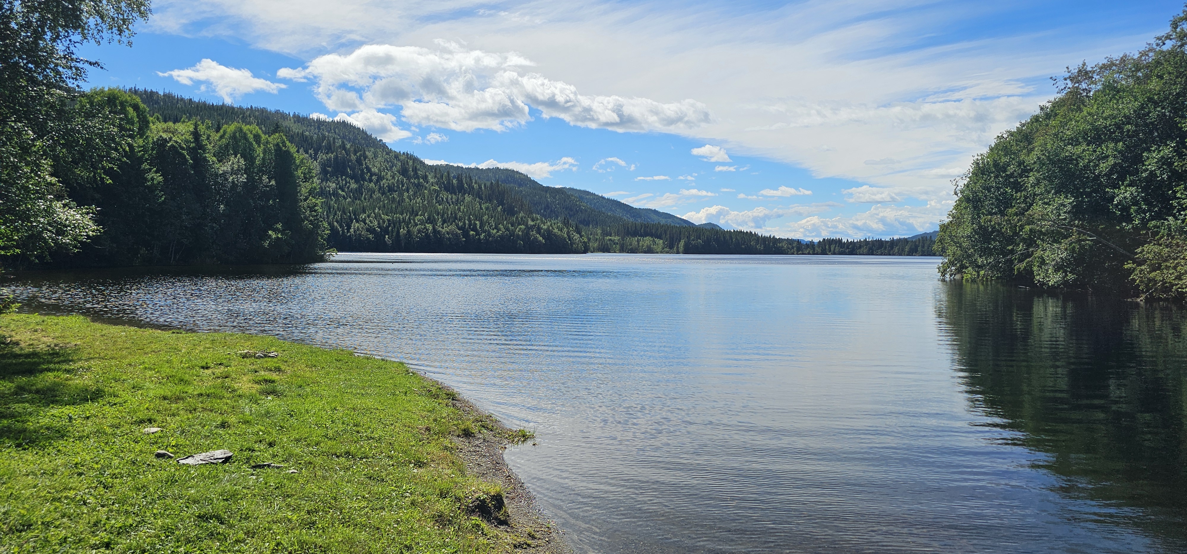 Innsjø med skog rundt