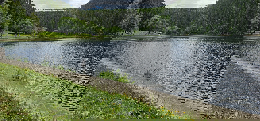 En tursti langs en innsjø i skogen