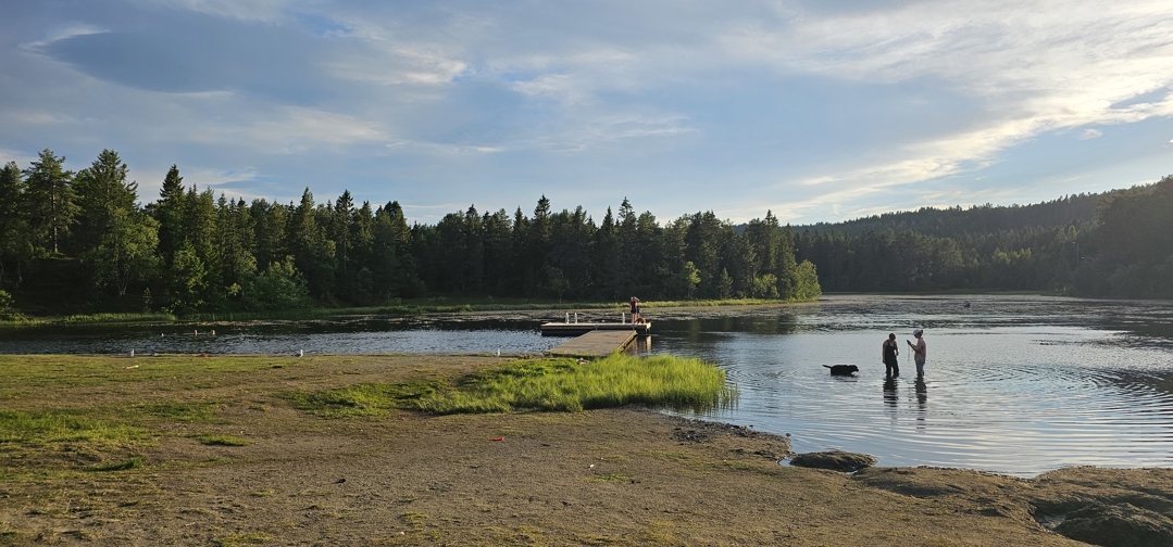Foto av badebrygge og folk som bader i Kyvannet