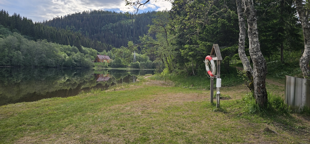 Badeplass ved Nidelva med gressplen og redningsbøyle