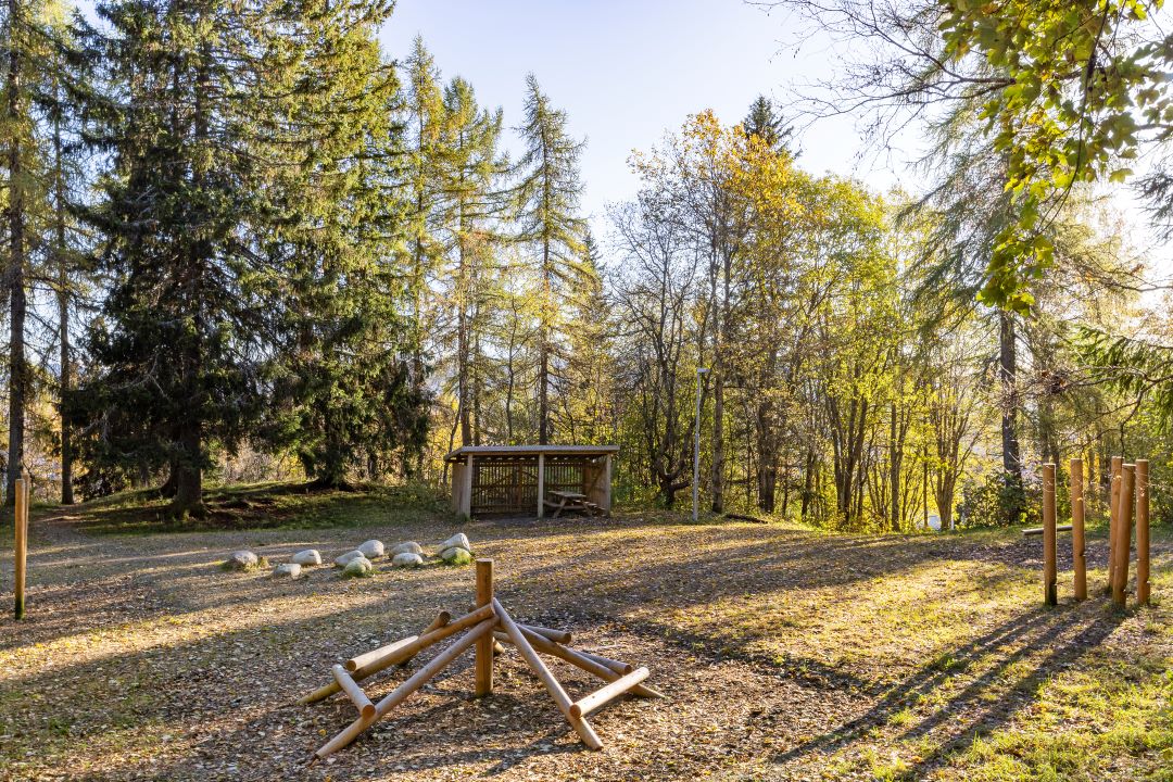 Gapahuk og klatrestativ i skogen