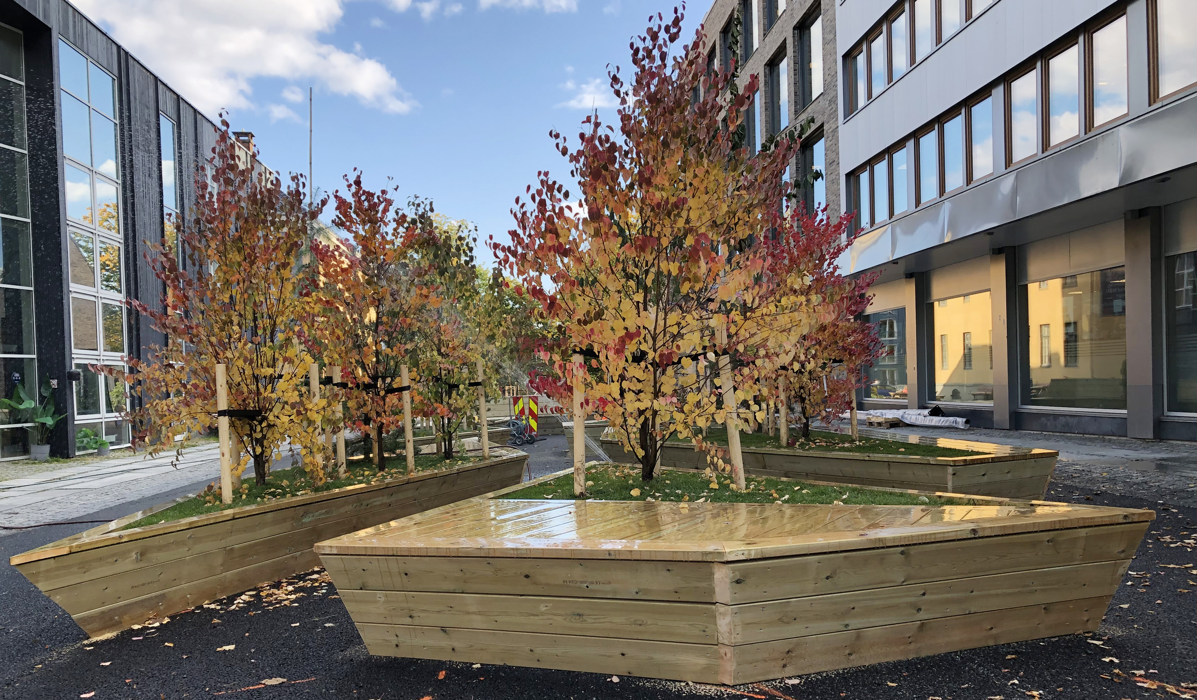 Elsa Laula Renbergs plass