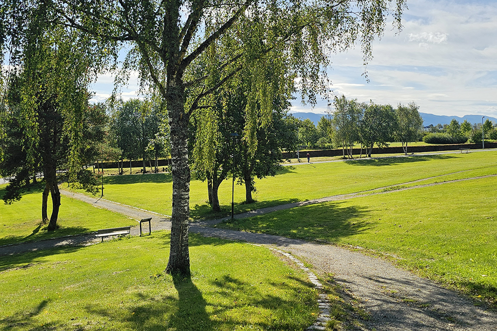 Saupstad park