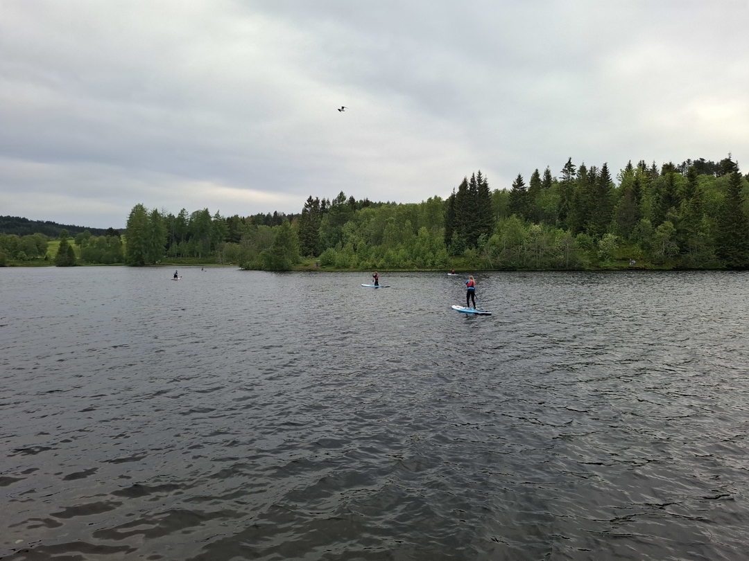 Bilde av ungdommer som padler på SUP på et vann i skogen