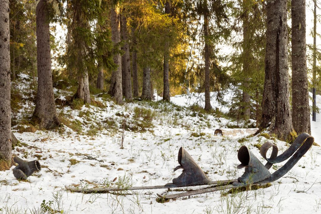 Ski og skisko for seg selv i skogen