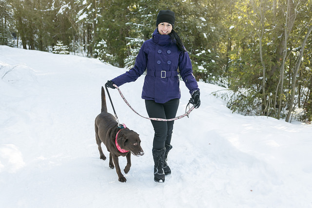 Luftetur med hund i vintervær.