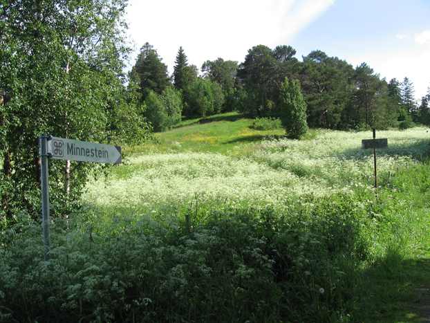 Beiteomr&aring;de mot St. Hanshaugen