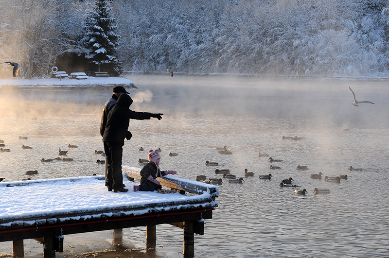 Vinteridyll ved Nidelva i frostrøyk