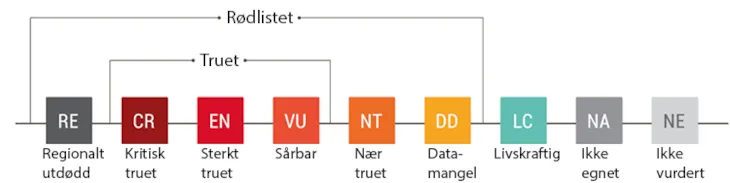 Kategorier av rødlistede arter - Oversikt fra Artsdatabanken