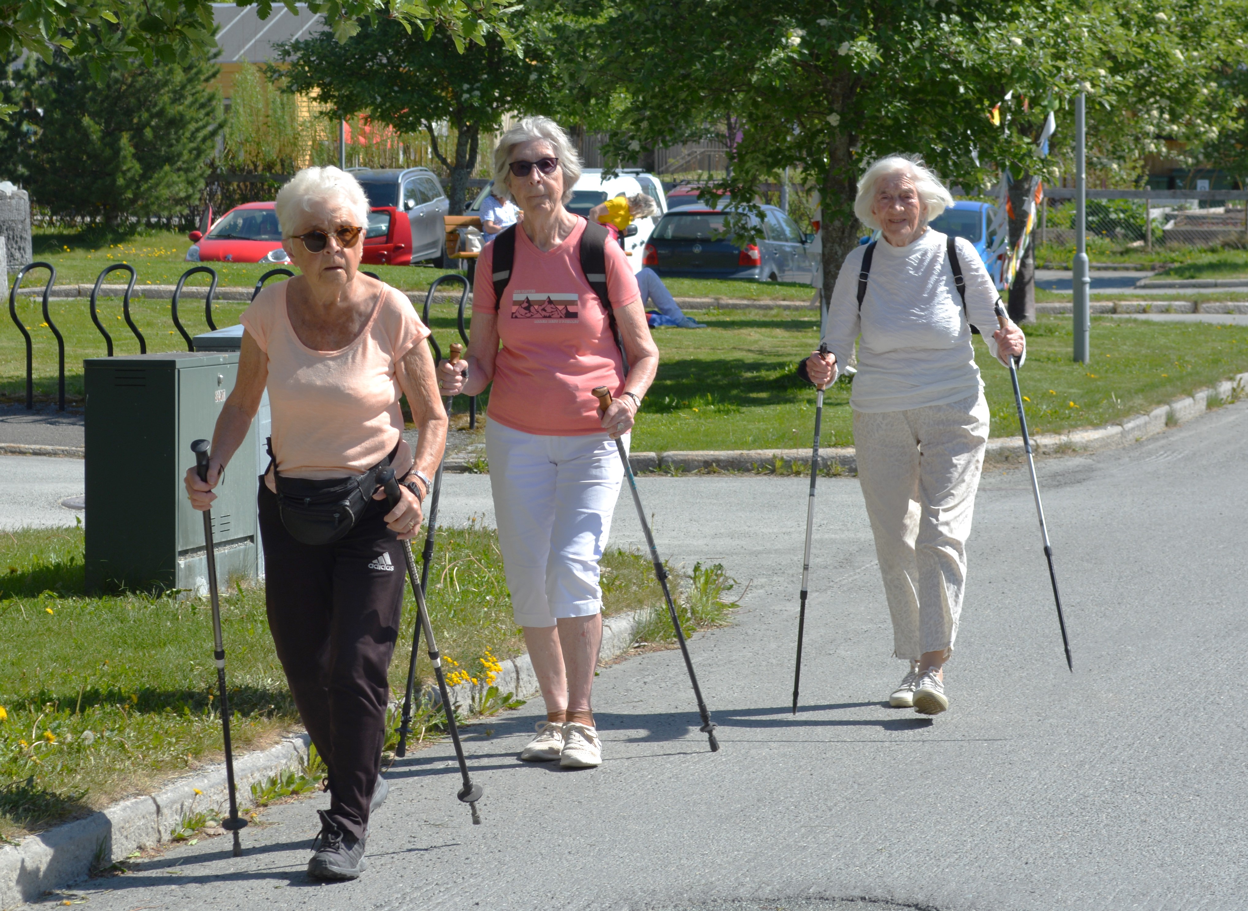 Tre eldre damer går tur med staver