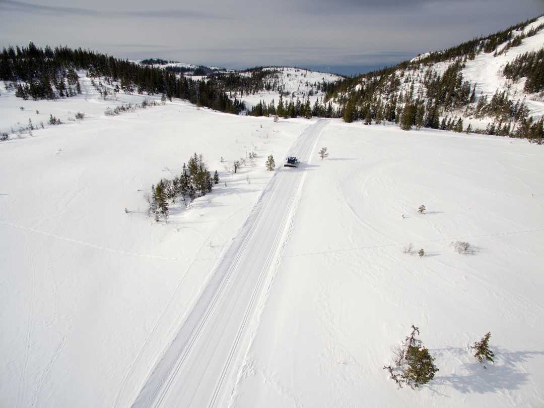 Bilde av skiløyper i Bymarka