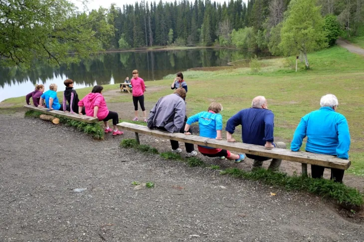 Bilde av mange eldre bakfra som trener ute i naturen