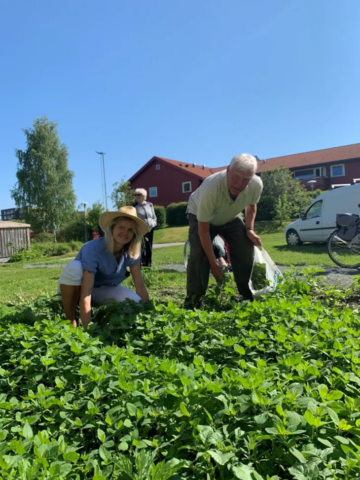 Flere generasjoner møtes og aktiviseres i Ranheimshagen