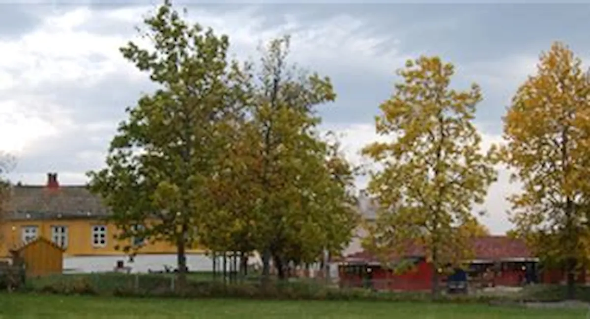 Havsteinaunet barnehage