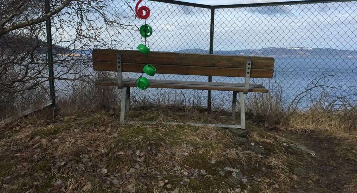 Benk med utsikt over Trondheimsfjorden