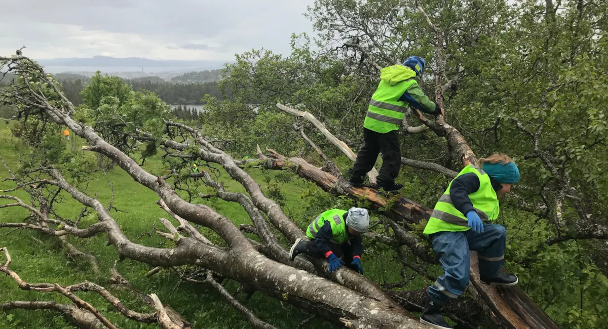 Kystadåsen barnehage