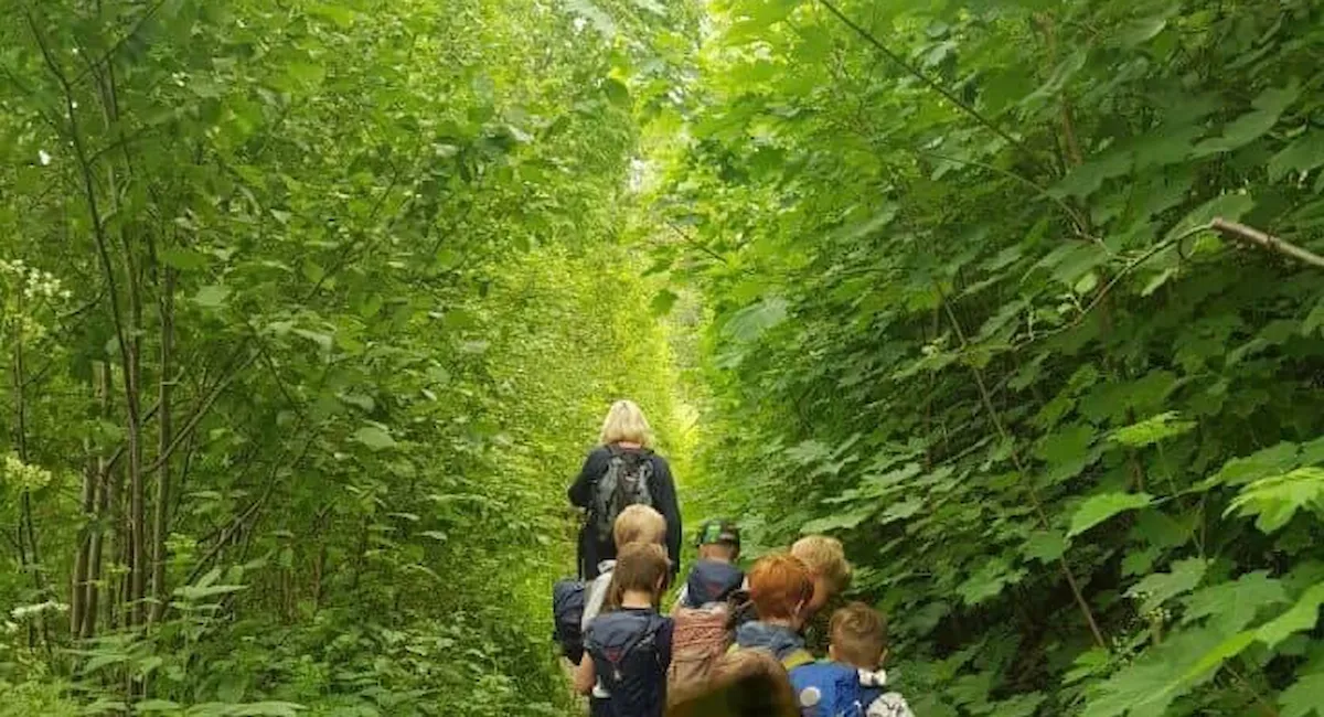 Trolla barnehage. På tur i skogen på Trolla