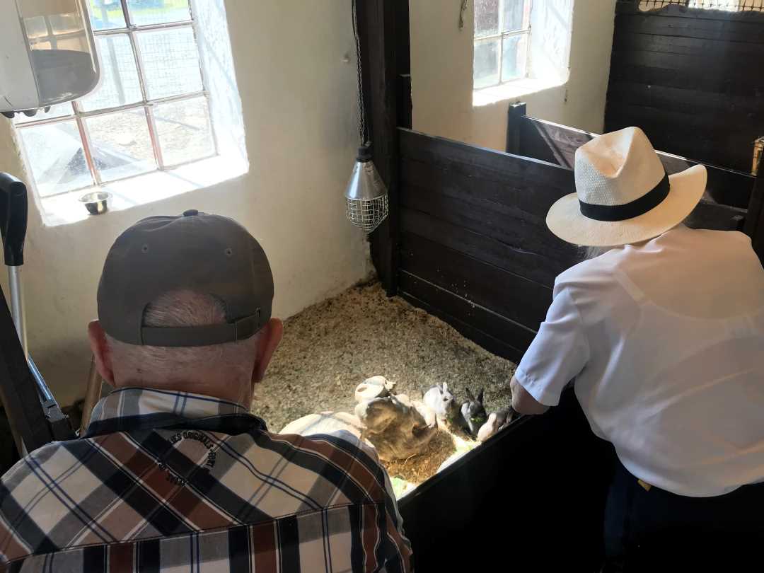 Tur til Voll G&aring;rd