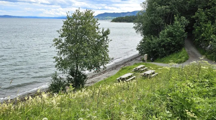 Foto av strand og med tre piknikkbenker på gressplen