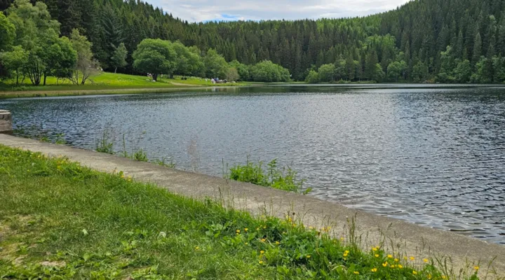 En tursti langs en innsjø i skogen