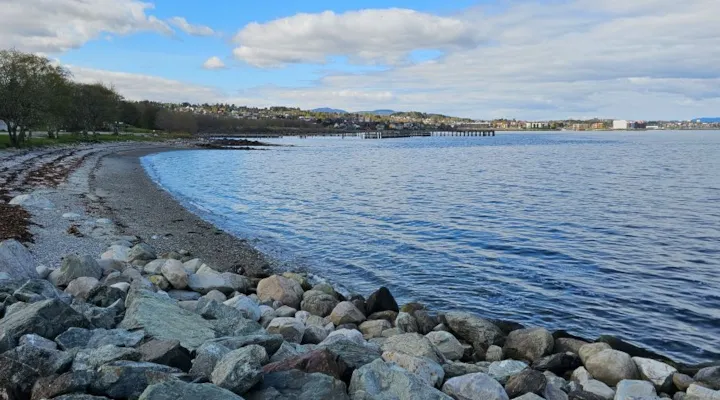 Badebukt ved fjorden med badebrygge