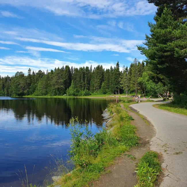 Foto av asfaltert sti ved Haukvatnet