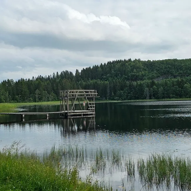 Foto av badeplassen Hestsjøen med badebrygge