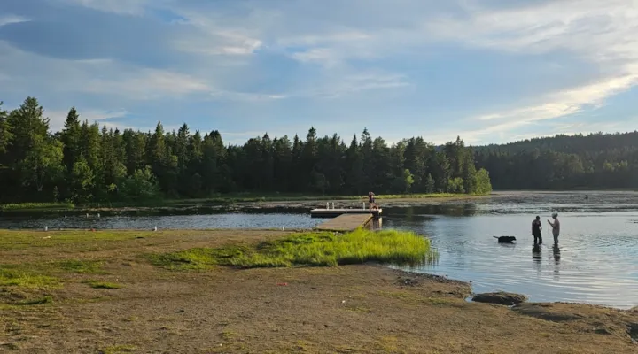 Foto av badebrygge og folk som bader i Kyvannet