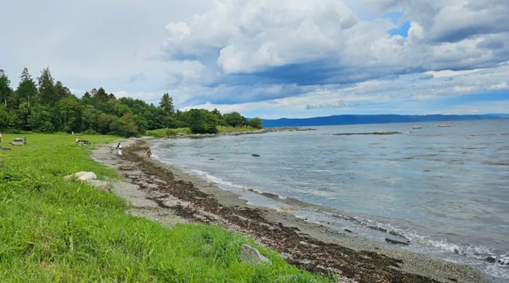Foto av strand med tang og gressplen med benker