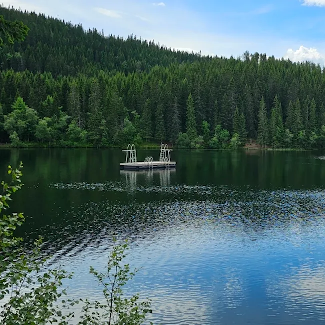 Foto av badebrygge på Tømmerholtdammen