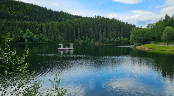 Foto av badebrygge på Tømmerholtdammen