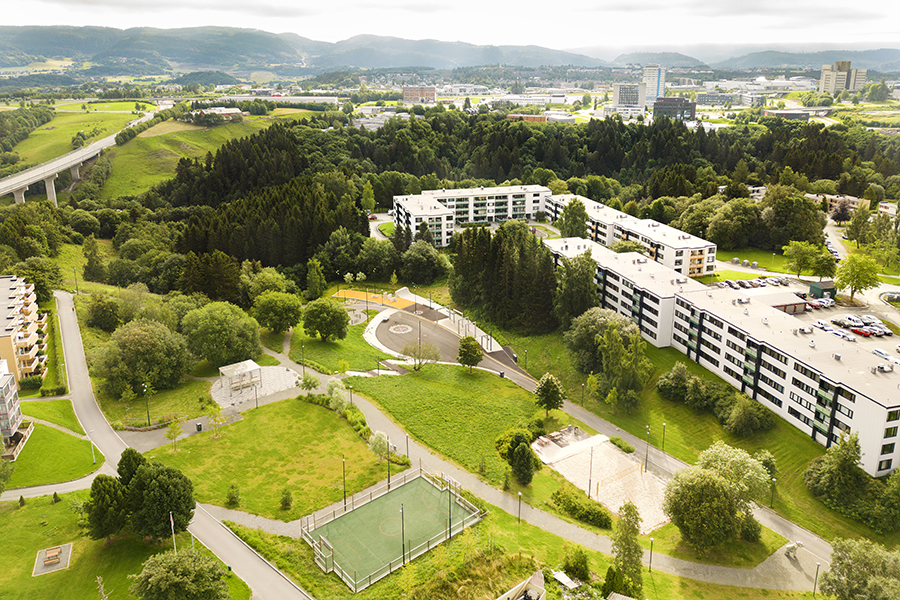 Dalen park