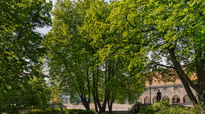 Kong Haakon VII park