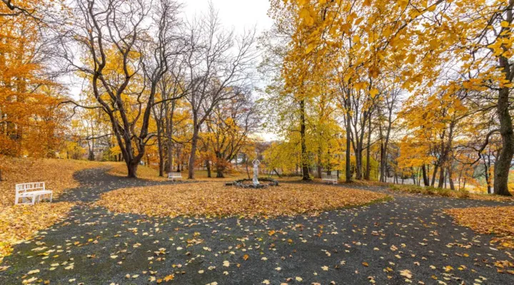 Ringve botaniske hage