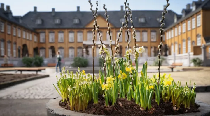 Parken med stiftsgården i bakgrunnen