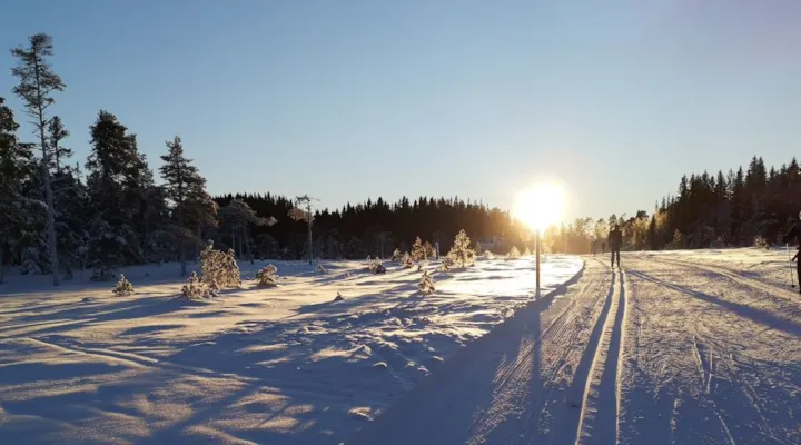 Sol over skiløype