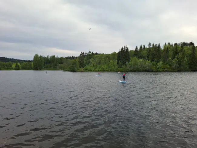 Bilde av ungdommer som padler på SUP på et vann i skogen