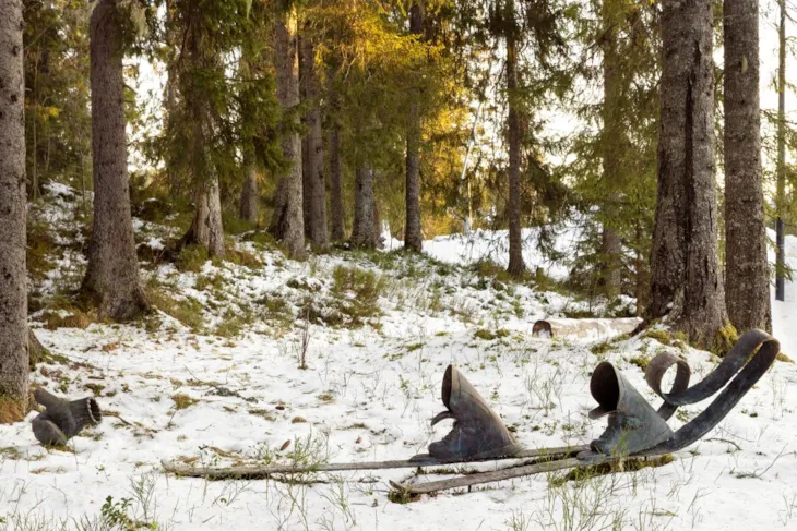 Kunstverk med to ski med skisko og en vott alene i skogen