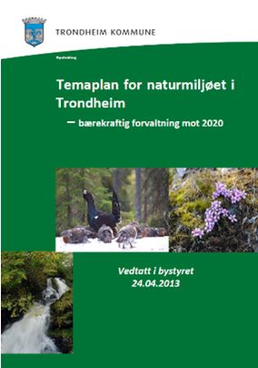 Temaplan for naturmiljøet, kopi av forside