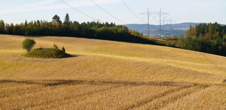 Åkerlandskap