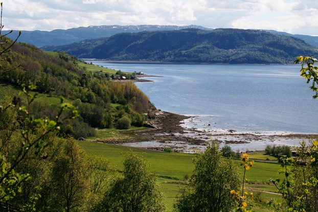 Utsikt fra Byneset kirke mot Gaulosen. 