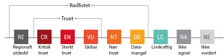 Kategorier av r&oslash;dlistede arter - Oversikt fra Artsdatabanken