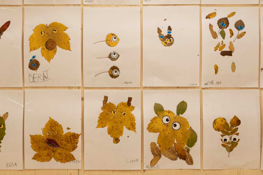 Elevarbeid med blader og øyne