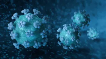 Bilde av et koronavirus