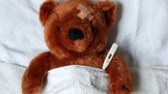 Bilde av syk teddybjørn