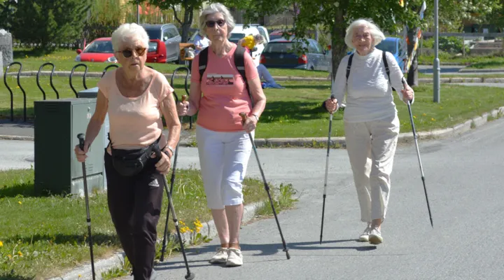 Tre eldre damer går tur med staver