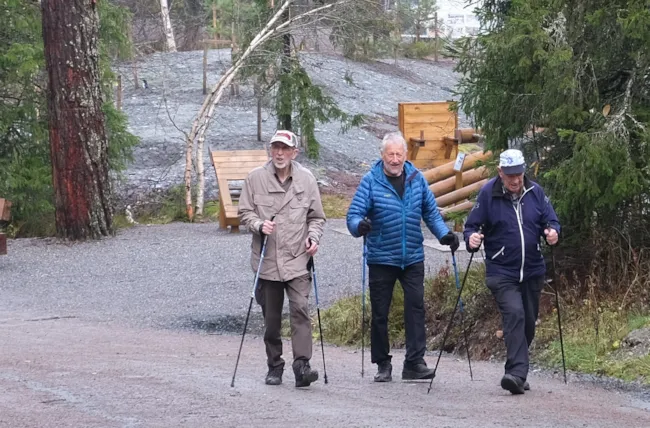 Tre gode venner på tur