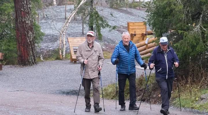 Tre gode venner på tur